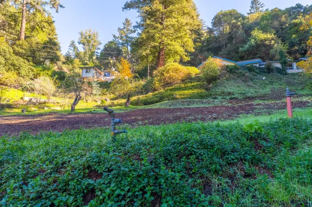 a backyard of a house with lots of green space