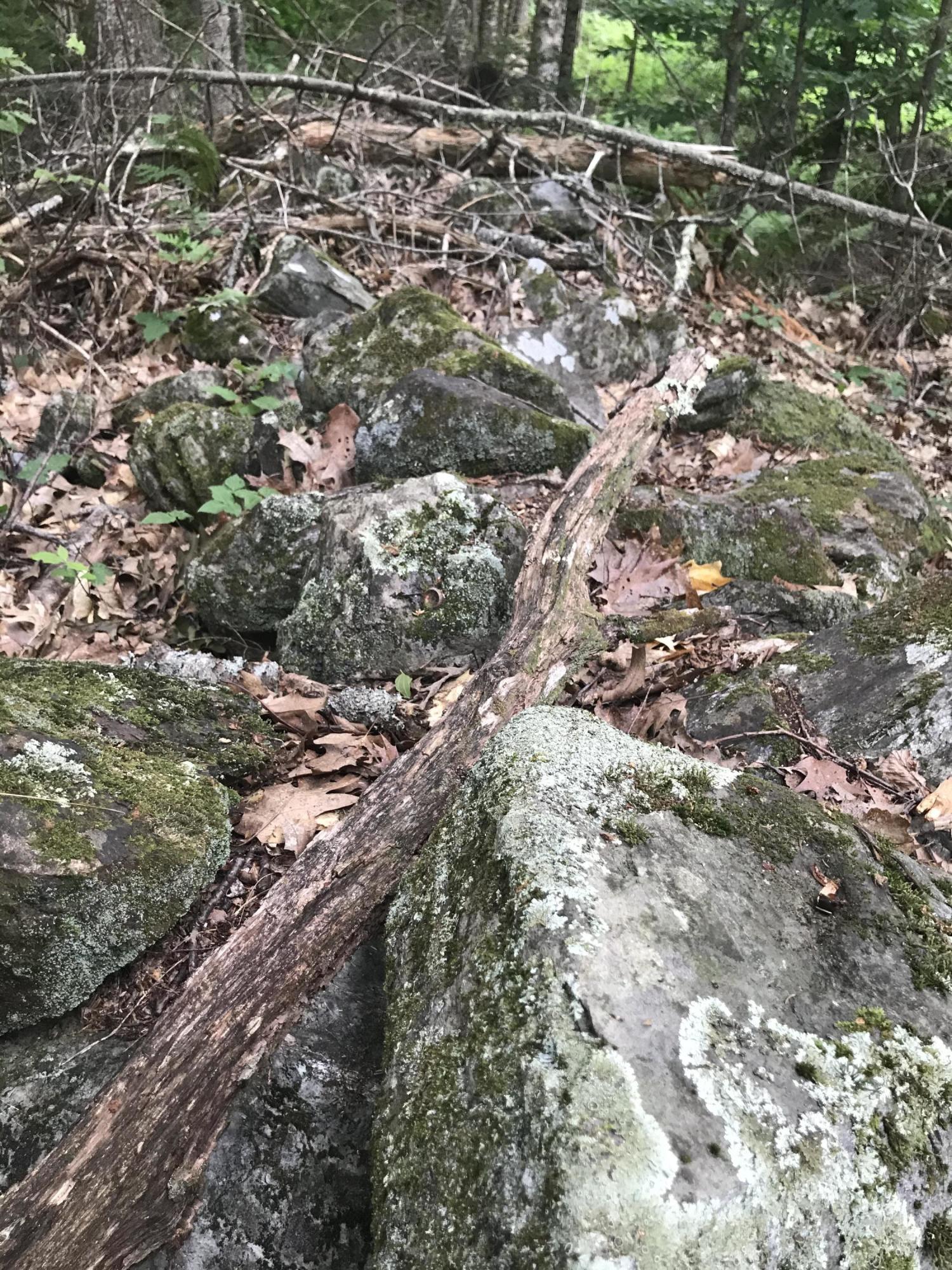 10 Map Road Brooks, ME 04921 - Photo 11 of 11 846B0ECB-B0CD-4F54-AF12-FFA74809074D