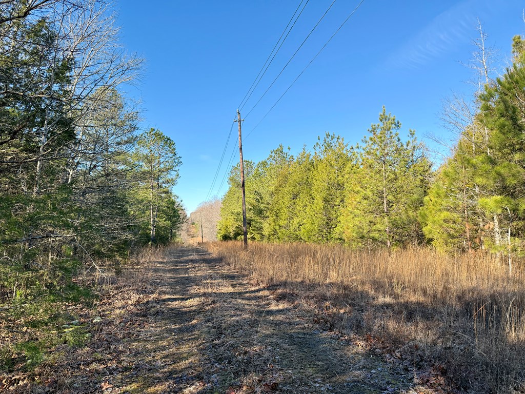 0 Neely Ferry Road Gray Court, SC 29645 - Photo 10 of 23 Gallery Image 10
