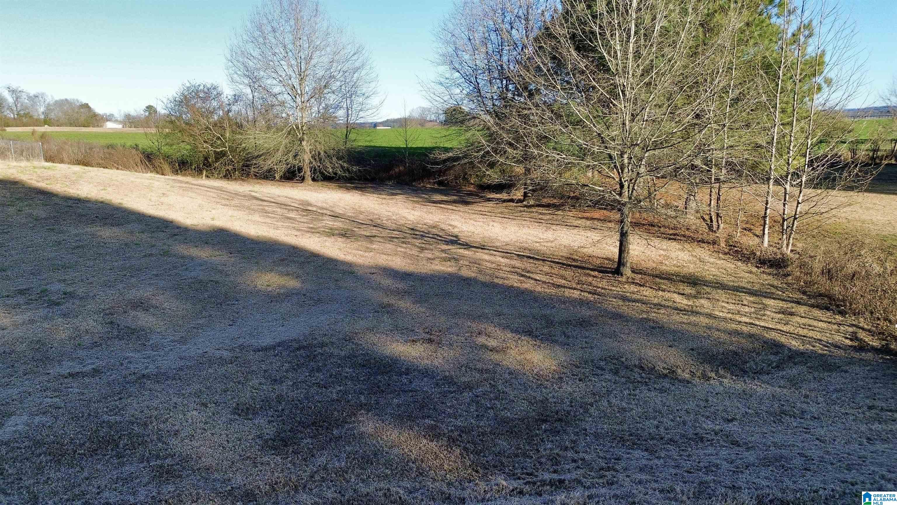 162 Emmaus Road Cleveland, AL 35049 - Photo 5 of 60