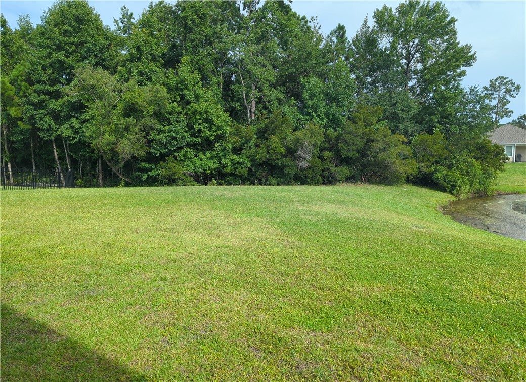 128 Rindle Trace St. Marys, GA 31558 - Photo 38 of 53