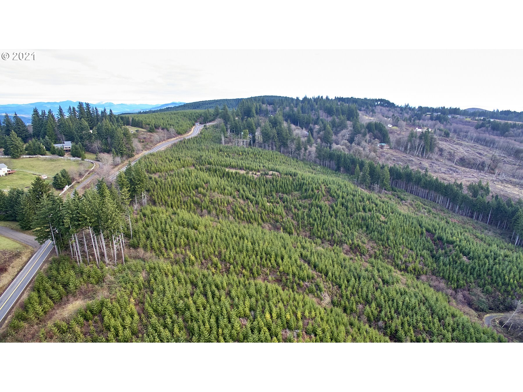 1 Green Mountain Road Kalama, WA 98625 - Photo 1 of 8 Gallery Image 1
