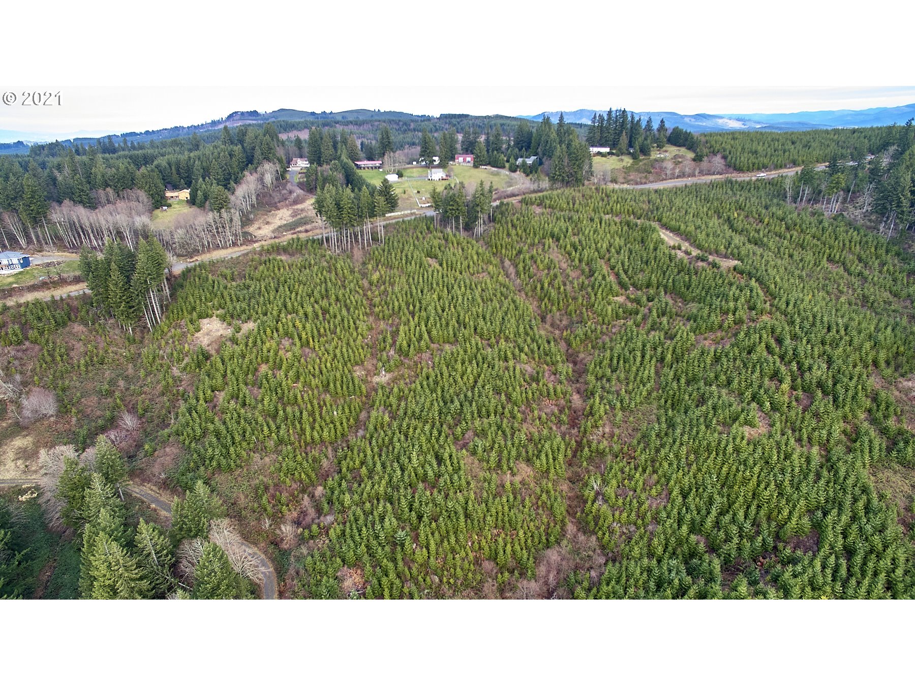 1 Green Mountain Road Kalama, WA 98625 - Photo 2 of 8 Gallery Image 2