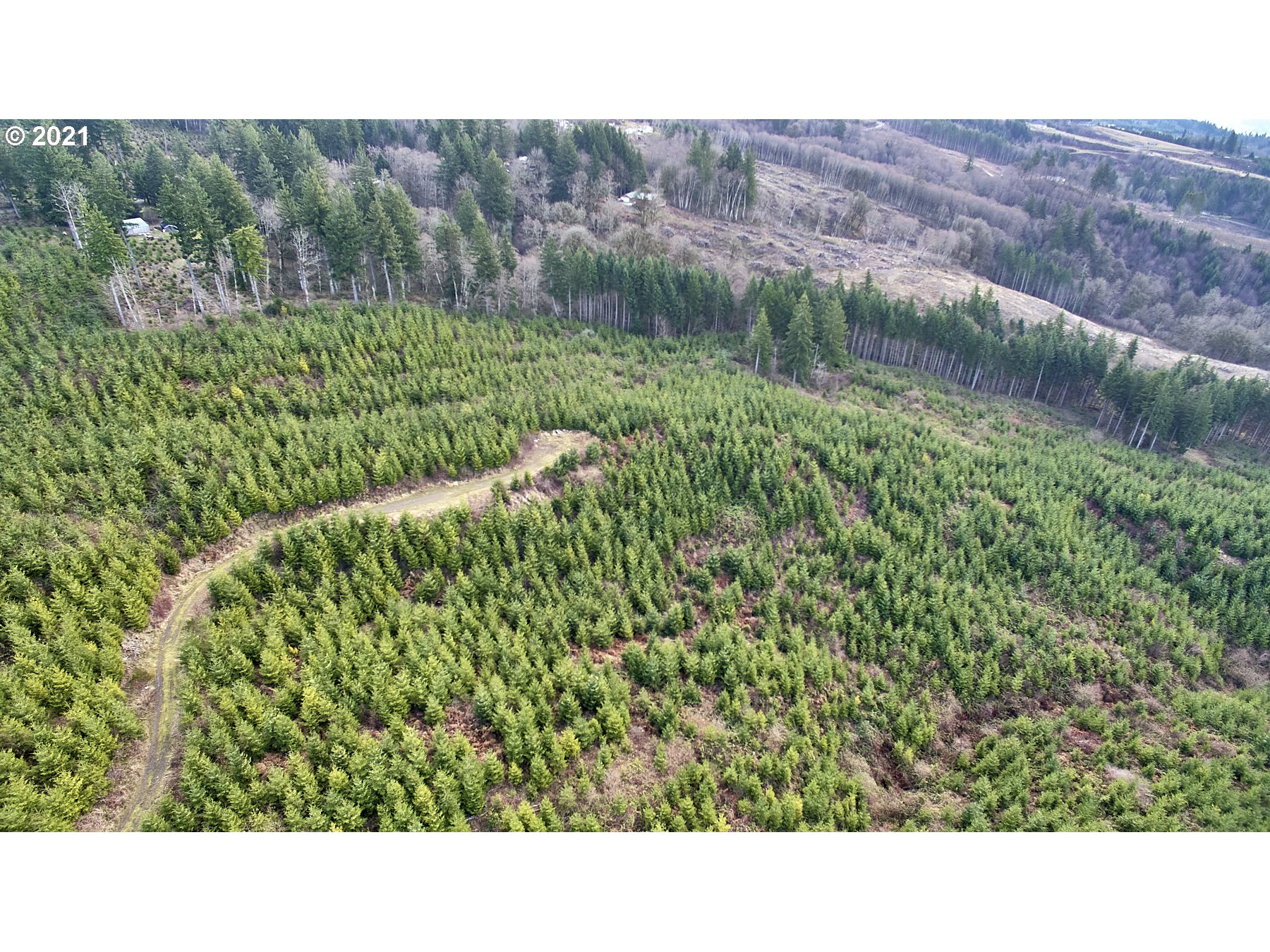 1 Green Mountain Road Kalama, WA 98625 - Photo 5 of 8 Gallery Image 5