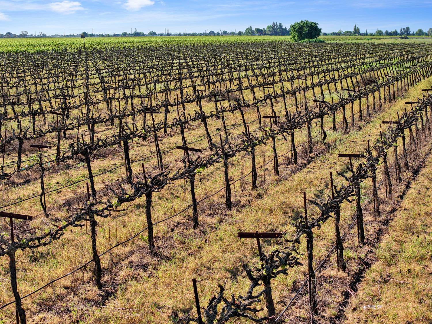 3824 West Sargent Road Lodi, CA 95242 - Photo 23 of 28