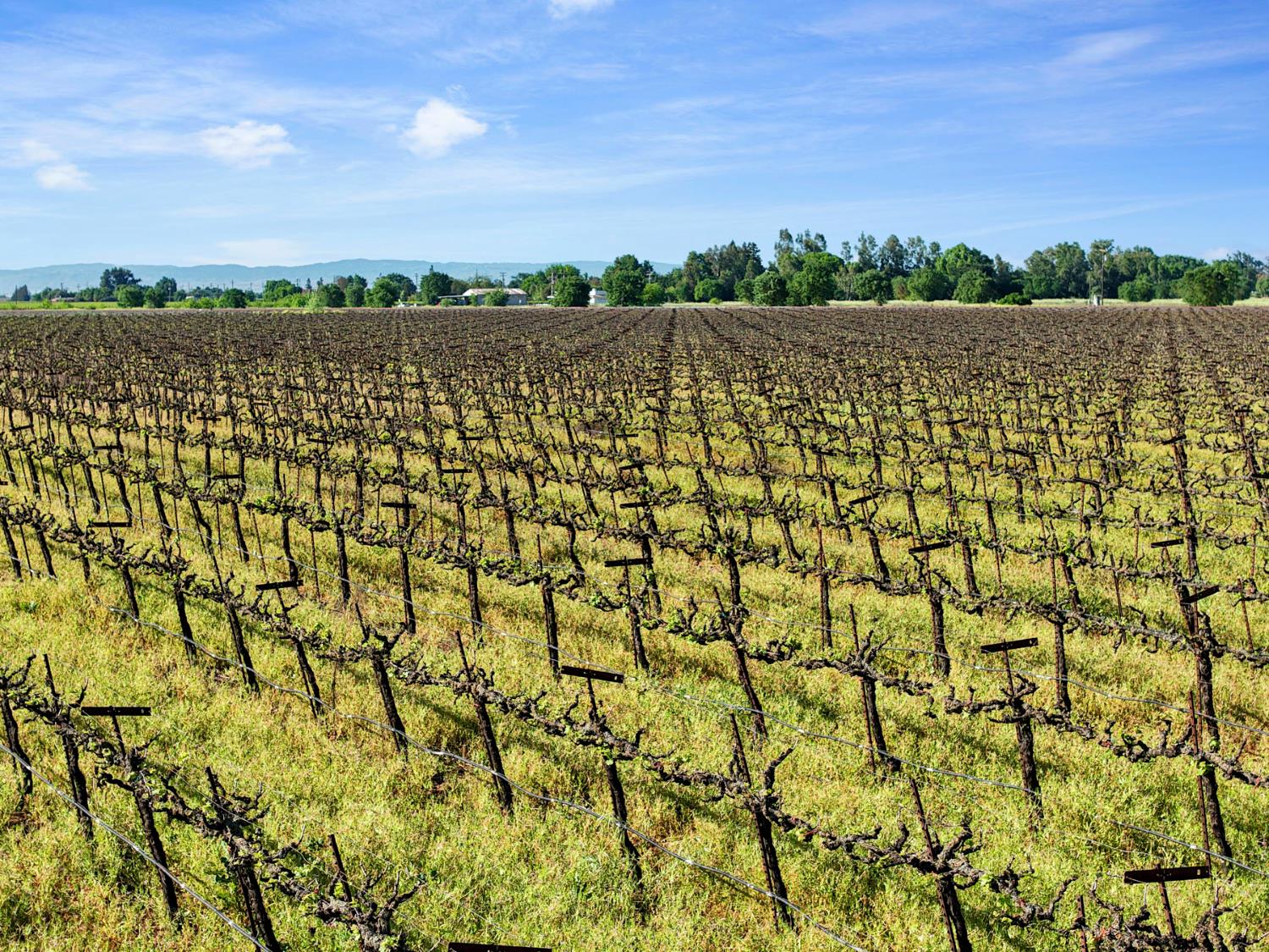 3824 West Sargent Road Lodi, CA 95242 - Photo 26 of 28