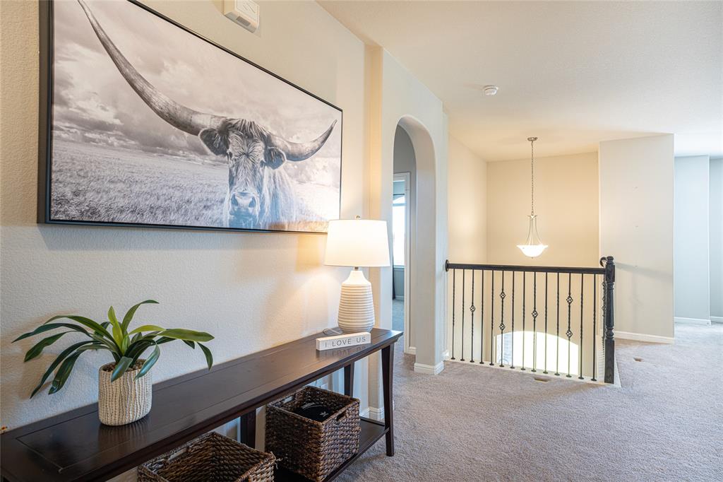 2404 Blackrail Court Argyle, TX 76226 - Photo 16 of 40