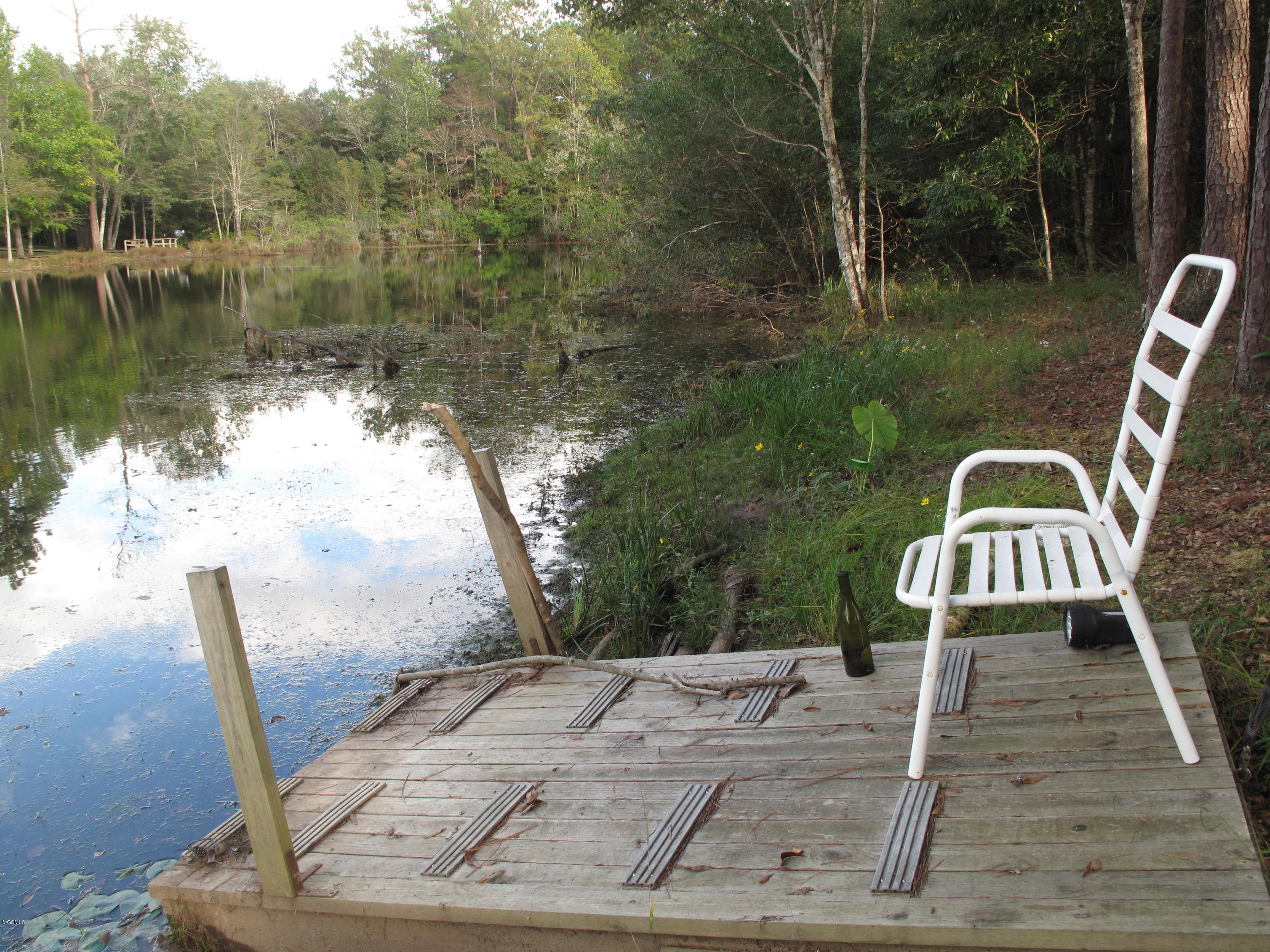 72 Roland Road Perkinston, MS 39573 - Photo 19 of 43 Dock