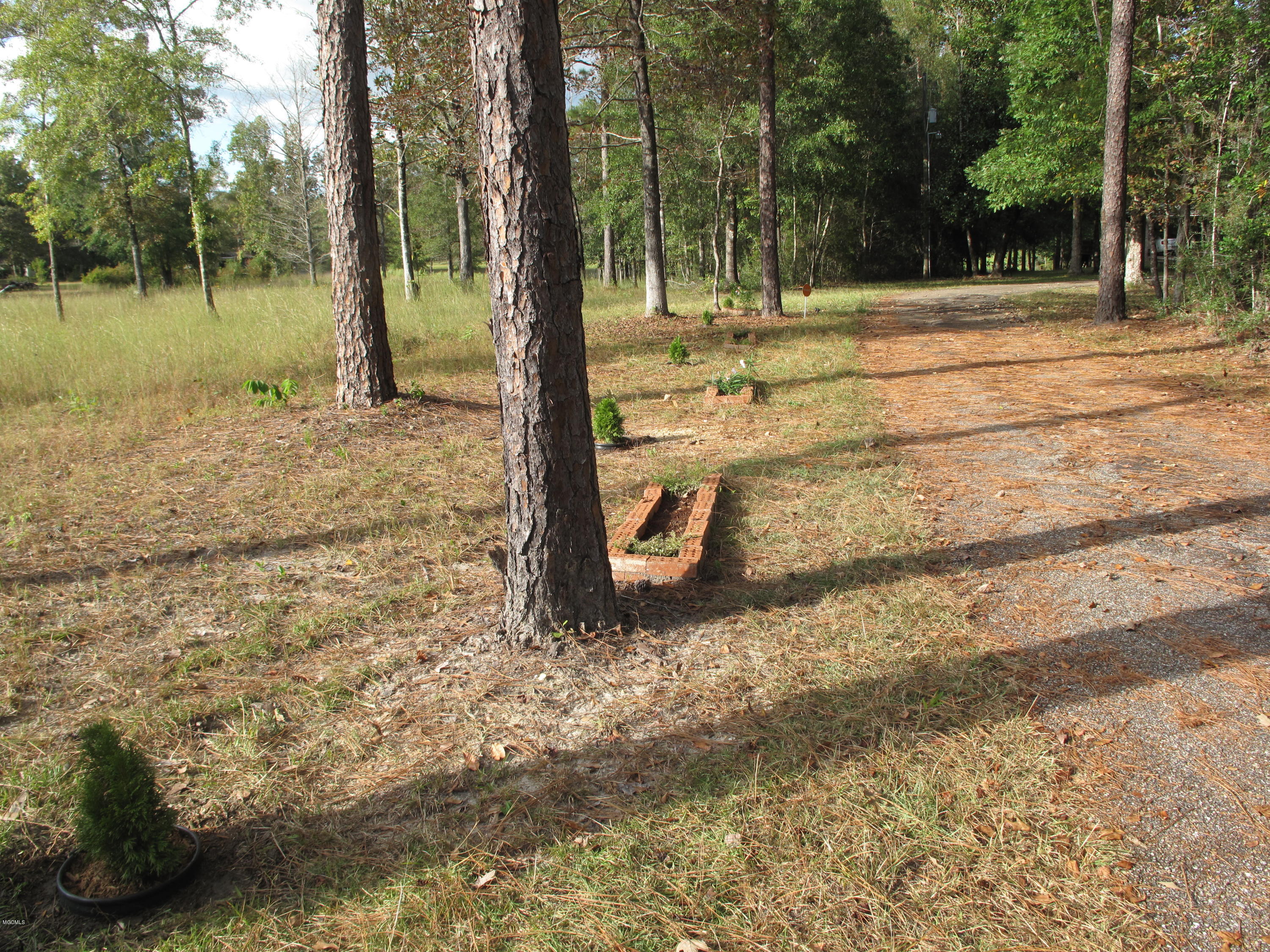 72 Roland Road Perkinston, MS 39573 - Photo 23 of 43 driveway