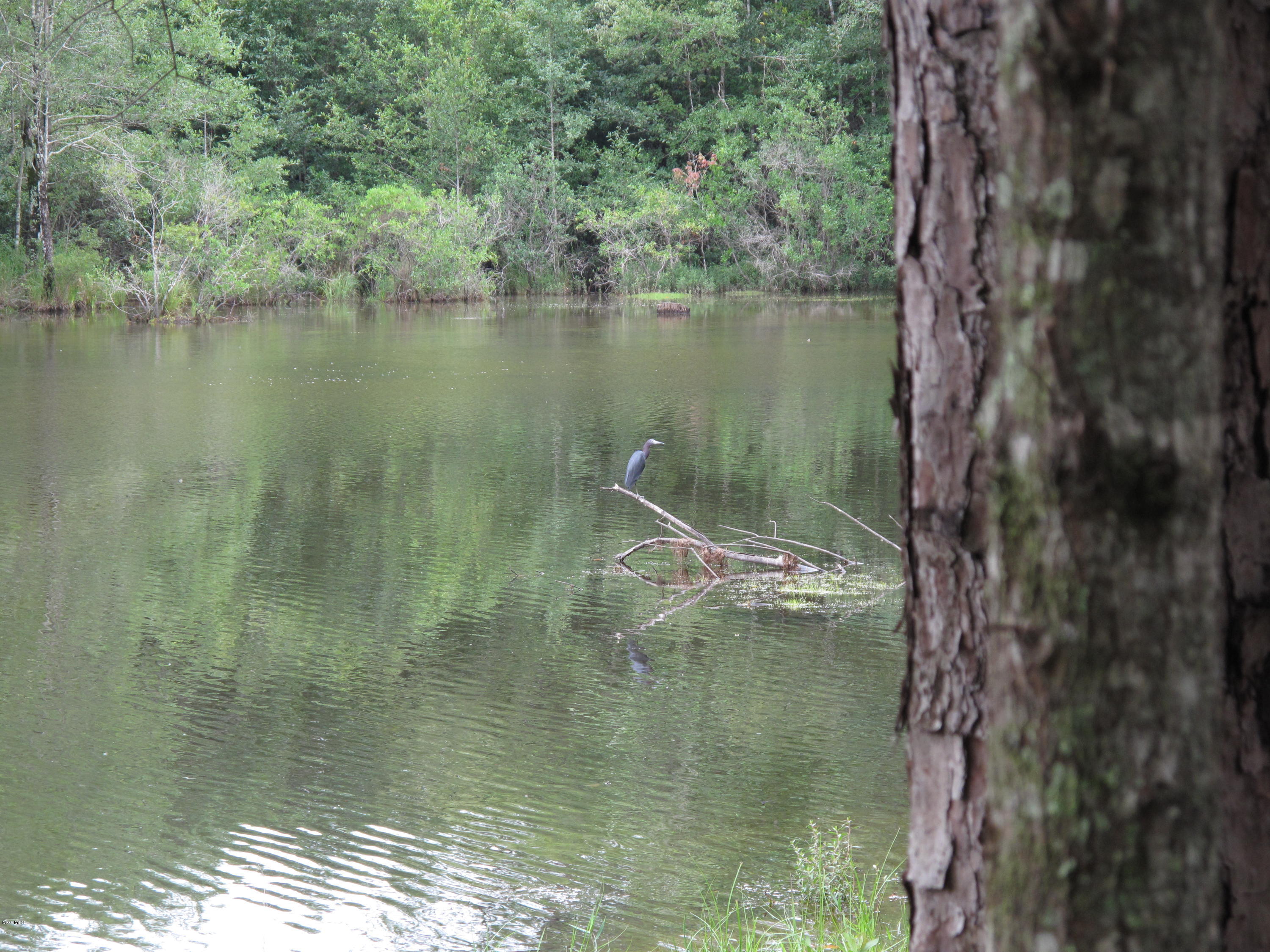 72 Roland Road Perkinston, MS 39573 - Photo 24 of 43 lake 2