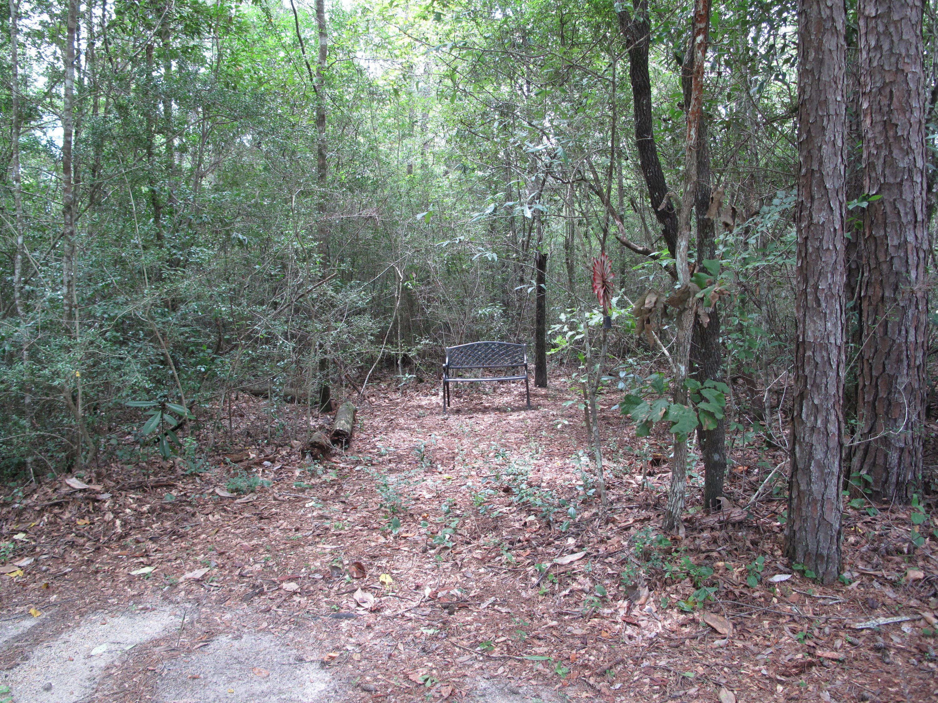72 Roland Road Perkinston, MS 39573 - Photo 40 of 43 woods