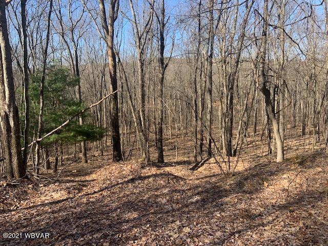 Boone Road, Unit 3 Cross Fork, PA 17729 - Photo 10 of 12 Gallery Image 10