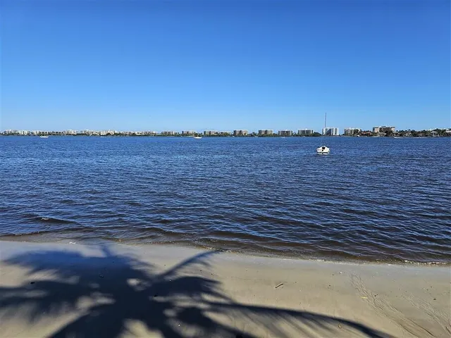 a view of a backyard with trees