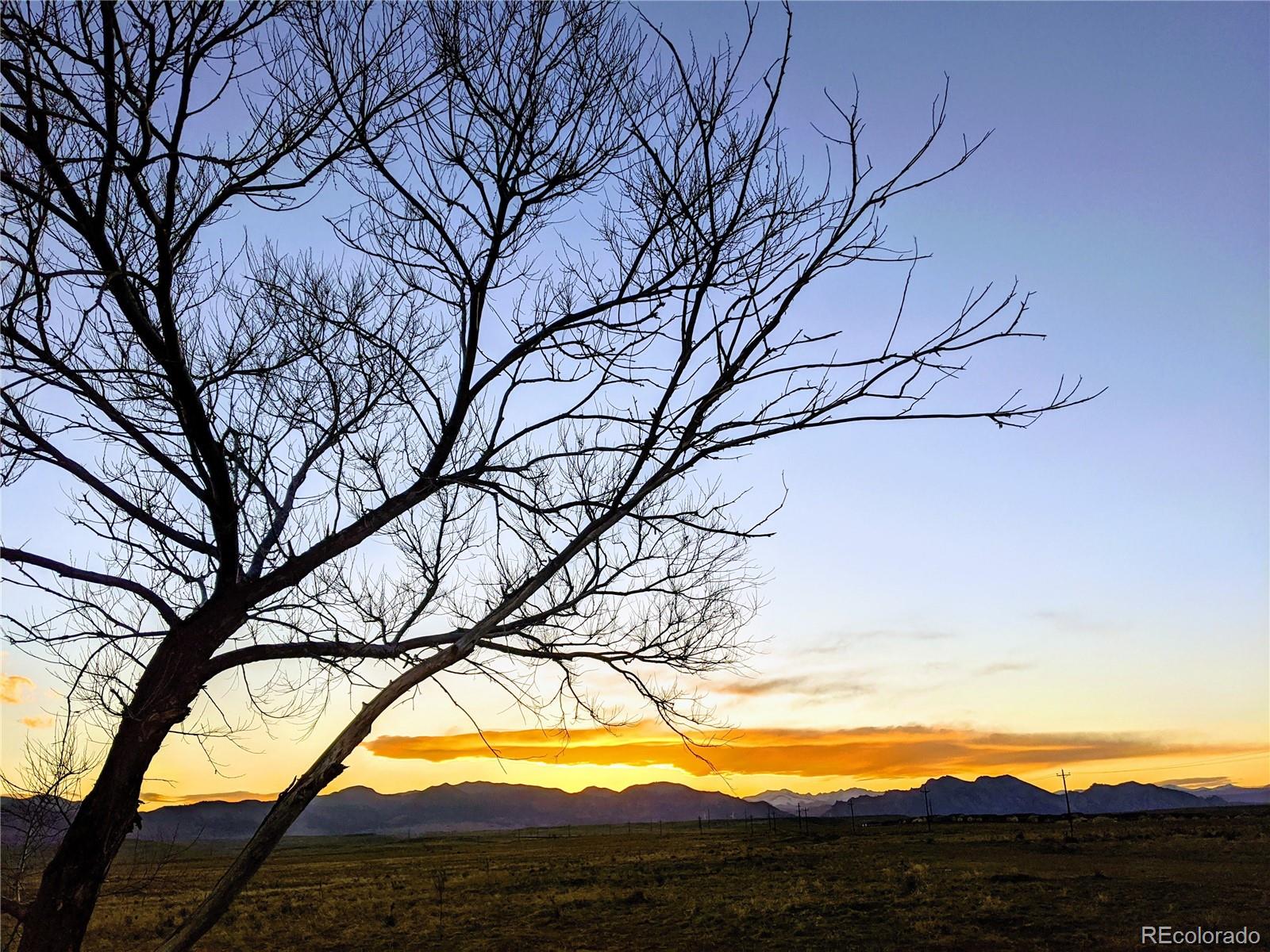 11539 West 103rd Avenue Westminster, CO 80021 - Photo 37 of 37