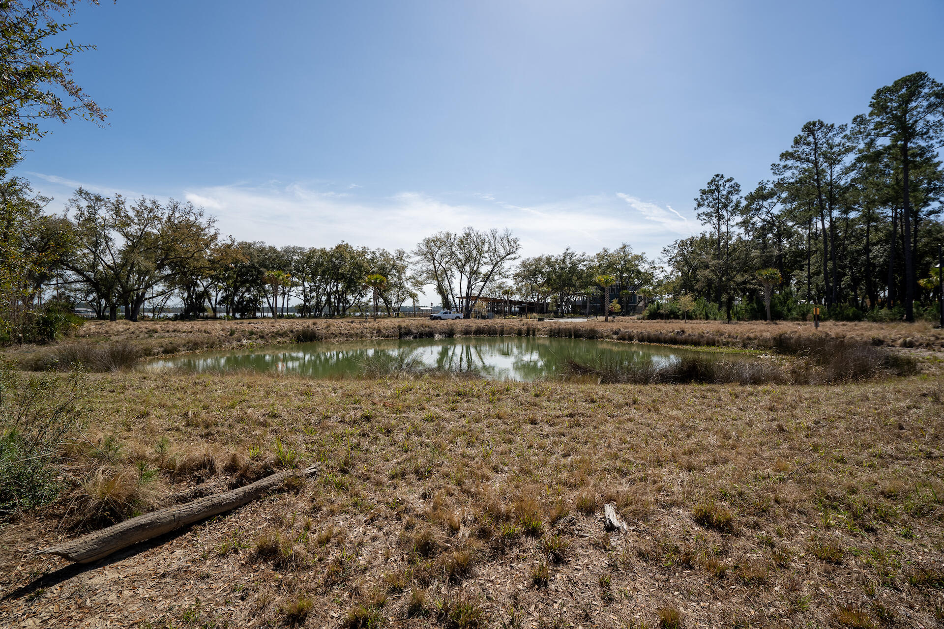 209 Captain Goddard Road Charleston, SC 29492 - Photo 11 of 24 SDH02534-HDR