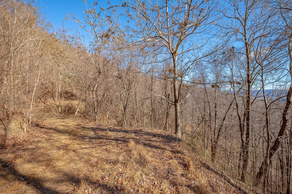 Lot 104 Spring Pond Trail, Unit 104 Fancy Gap, VA 24328 - Photo 13 of 54 Gallery Image 13