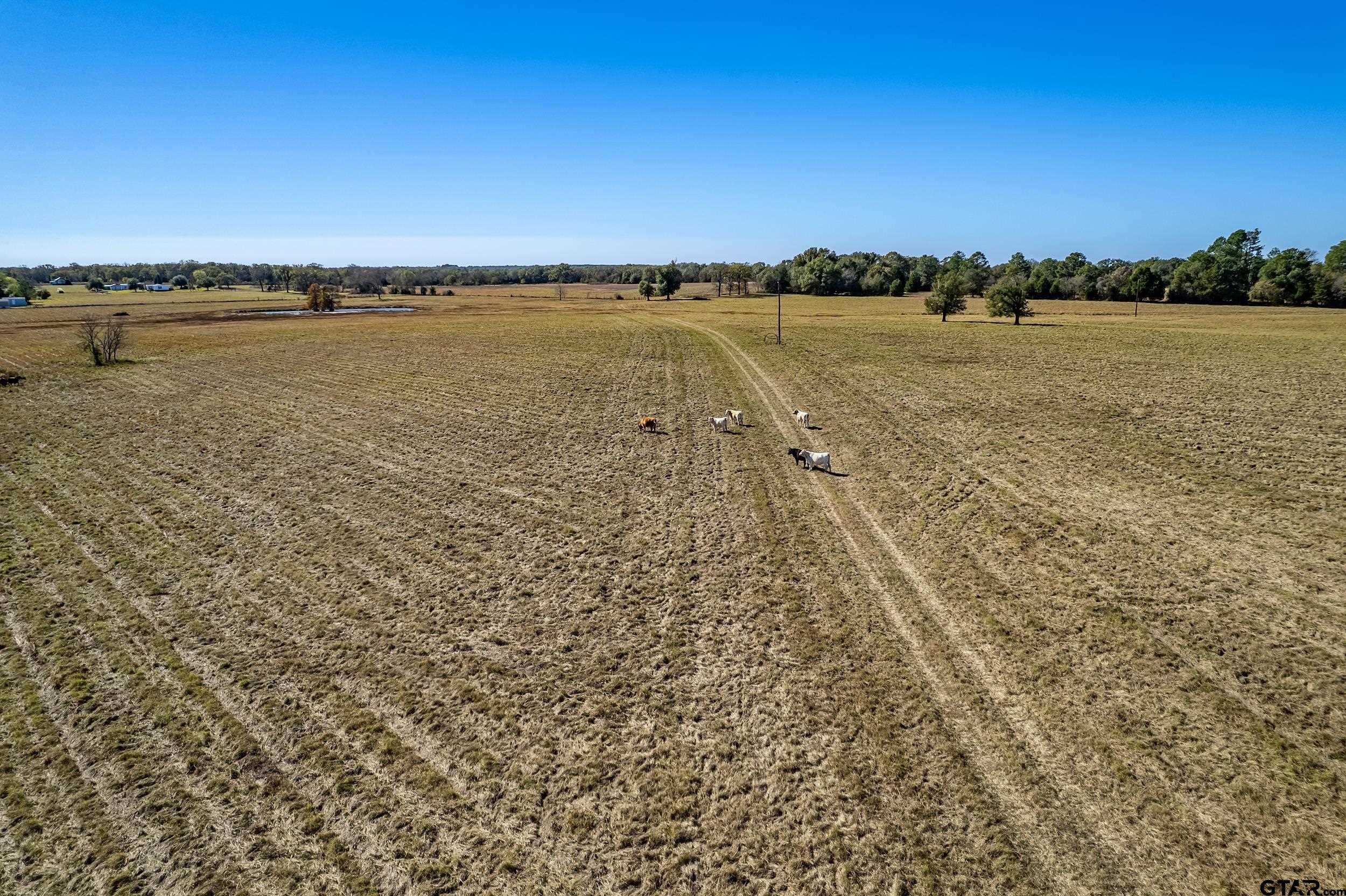 1504 Wills Point Wills Point, TX 75169 - Photo 7 of 17