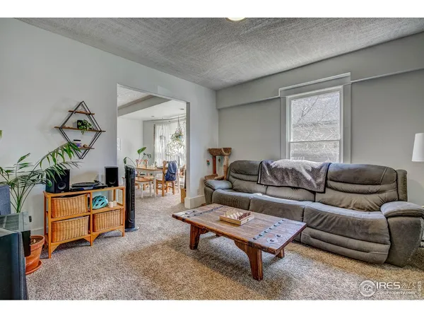 a living room with furniture a rug and a window