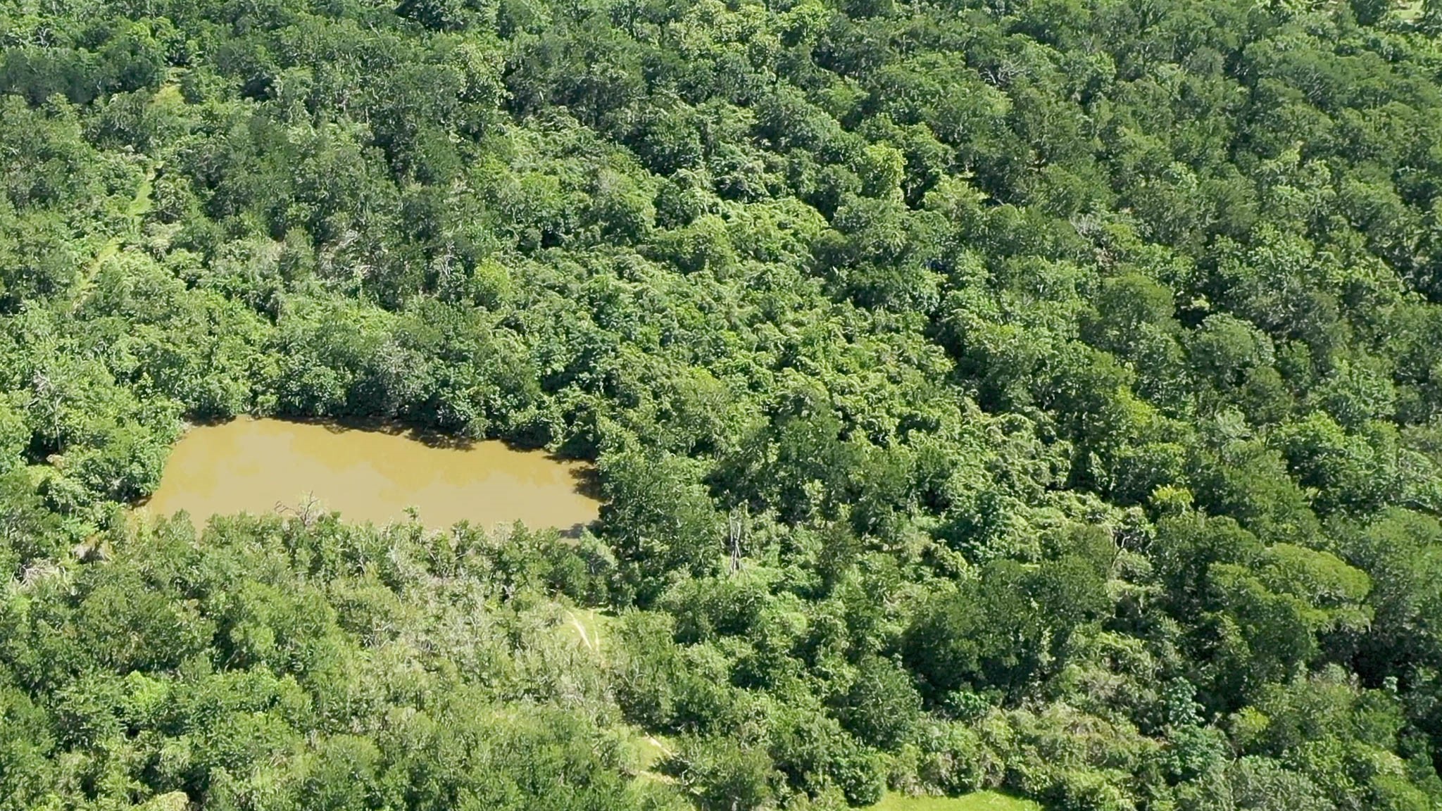 Tbd Holik Road Hempstead, TX 77445 - Photo 14 of 50