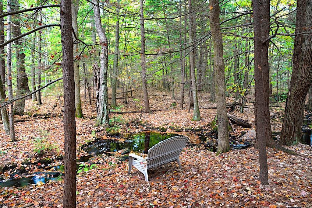 546 Blackstrap Road Falmouth, ME 04105 - Photo 30 of 32 Stream