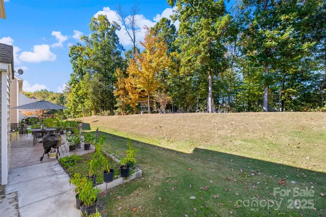 a view of a backyard