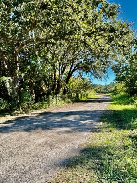 806 West Ariel Road Edgewater, FL 32141 - Photo 11 of 15 a view of backyard with green space