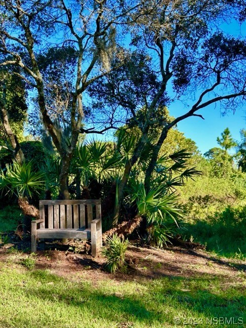 806 West Ariel Road Edgewater, FL 32141 - Photo 6 of 15 a view of backyard with a table and chairs and a large tree