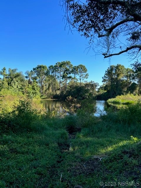 806 West Ariel Road Edgewater, FL 32141 - Photo 9 of 15 a view of lake with green space