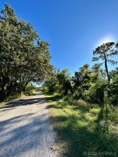 806 West Ariel Road Edgewater, FL 32141 - Photo 10 of 15