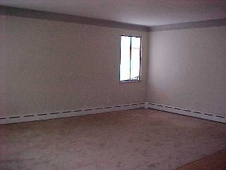 6508 Secor Road Lambertville, MI 48144 - Photo 5 of 6 Spacious Living Room