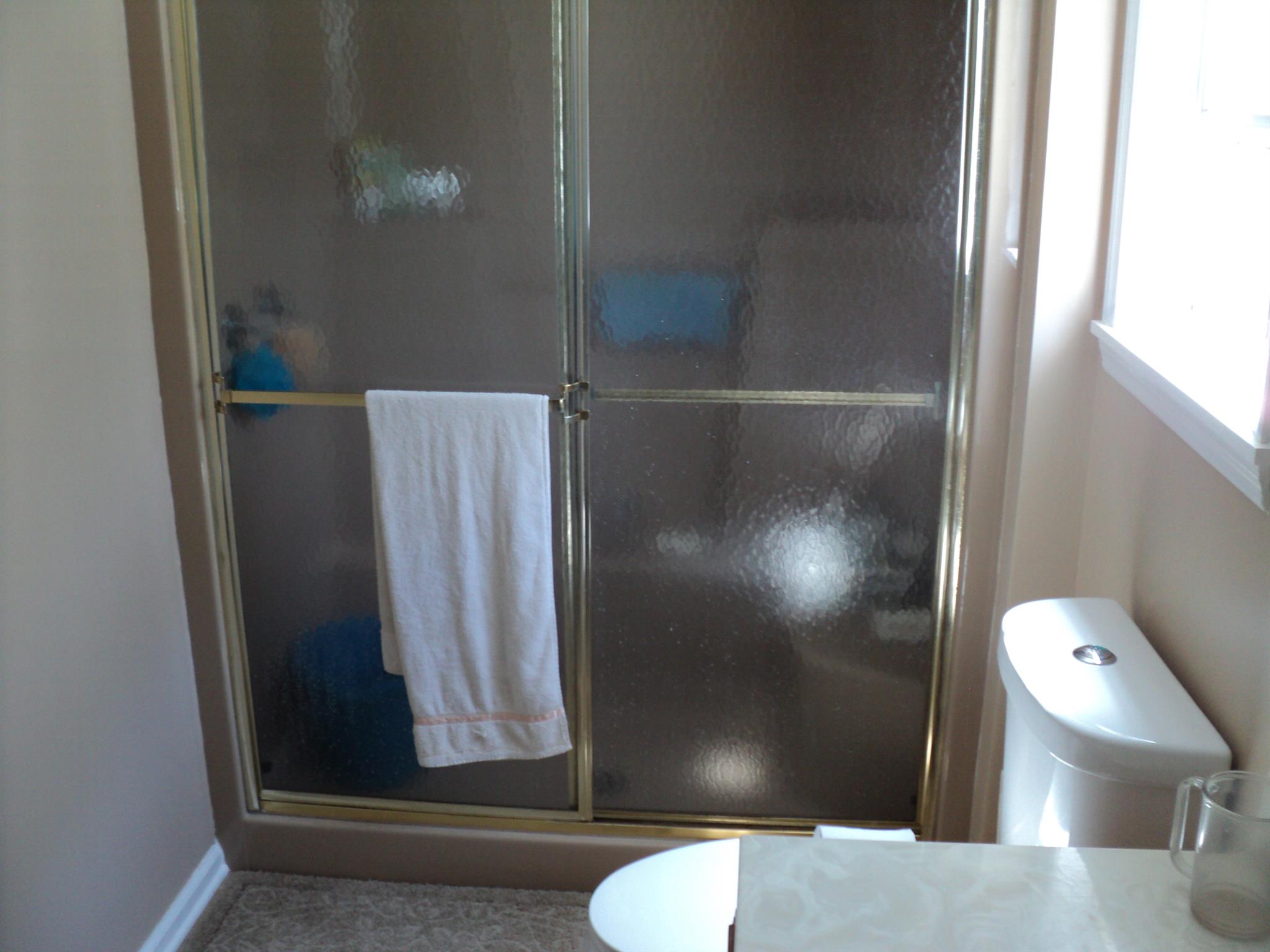 1135 Nancy Green Ridge Road Prospect, TN 38477 - Photo 13 of 20 Master bath shower.