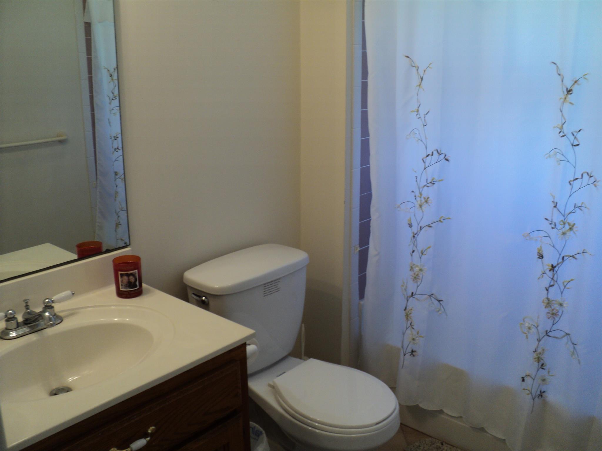 1135 Nancy Green Ridge Road Prospect, TN 38477 - Photo 15 of 20 Full bath w/ tub shower combo & tile floor.