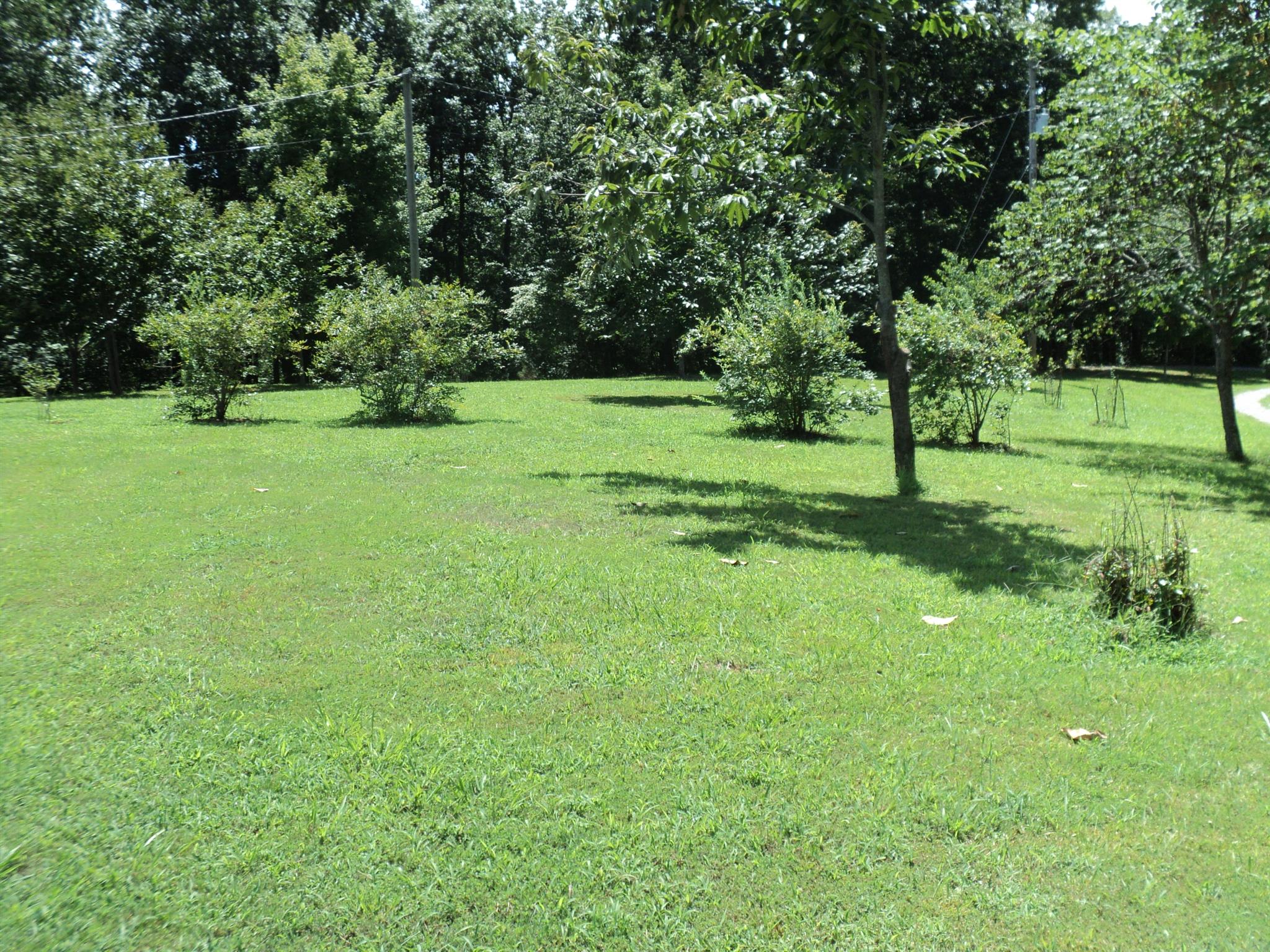 1135 Nancy Green Ridge Road Prospect, TN 38477 - Photo 20 of 20 Property offers Pecan, Apple and Chestnut trees also Blackberry and Blueberry bushes.