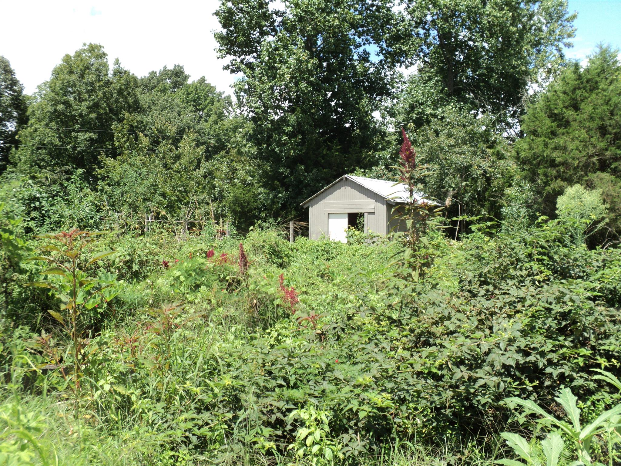 Well established vegetable garden.