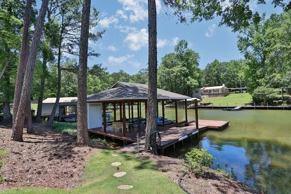 a small garden covered with tall trees