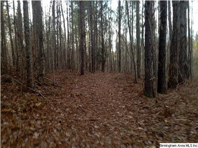 45 County Road, Unit 32 Bremen, AL 35033 - Photo 7 of 9
