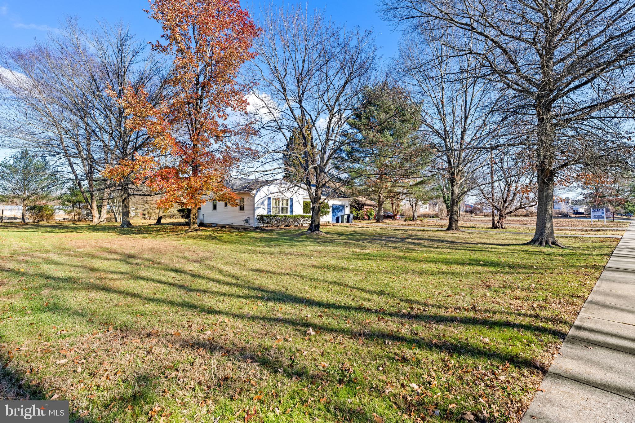 284 Radix Road Williamstown, NJ 08094 - Photo 27 of 30 a view of a house with a big yard and large trees