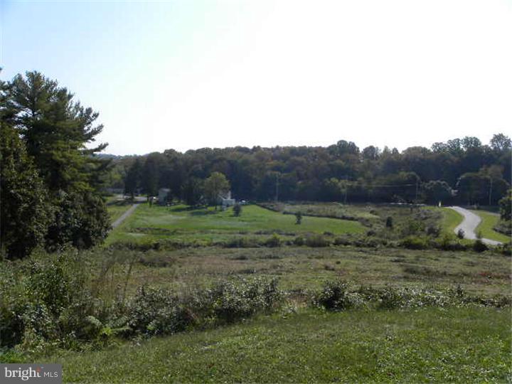 219 State Road Avondale, PA 19311 - Photo 2 of 20 View from Front Door