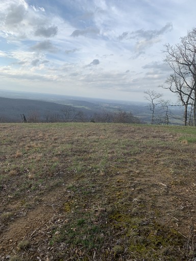 39 Box House Road Belvidere, TN 37306 - Photo 1 of 5 a view of an ocean
