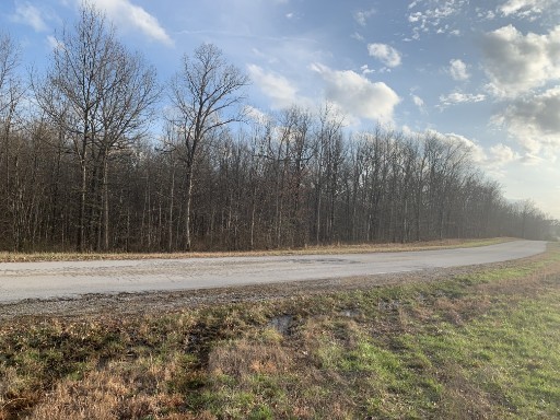39 Box House Road Belvidere, TN 37306 - Photo 3 of 5 a view of a yard with large trees