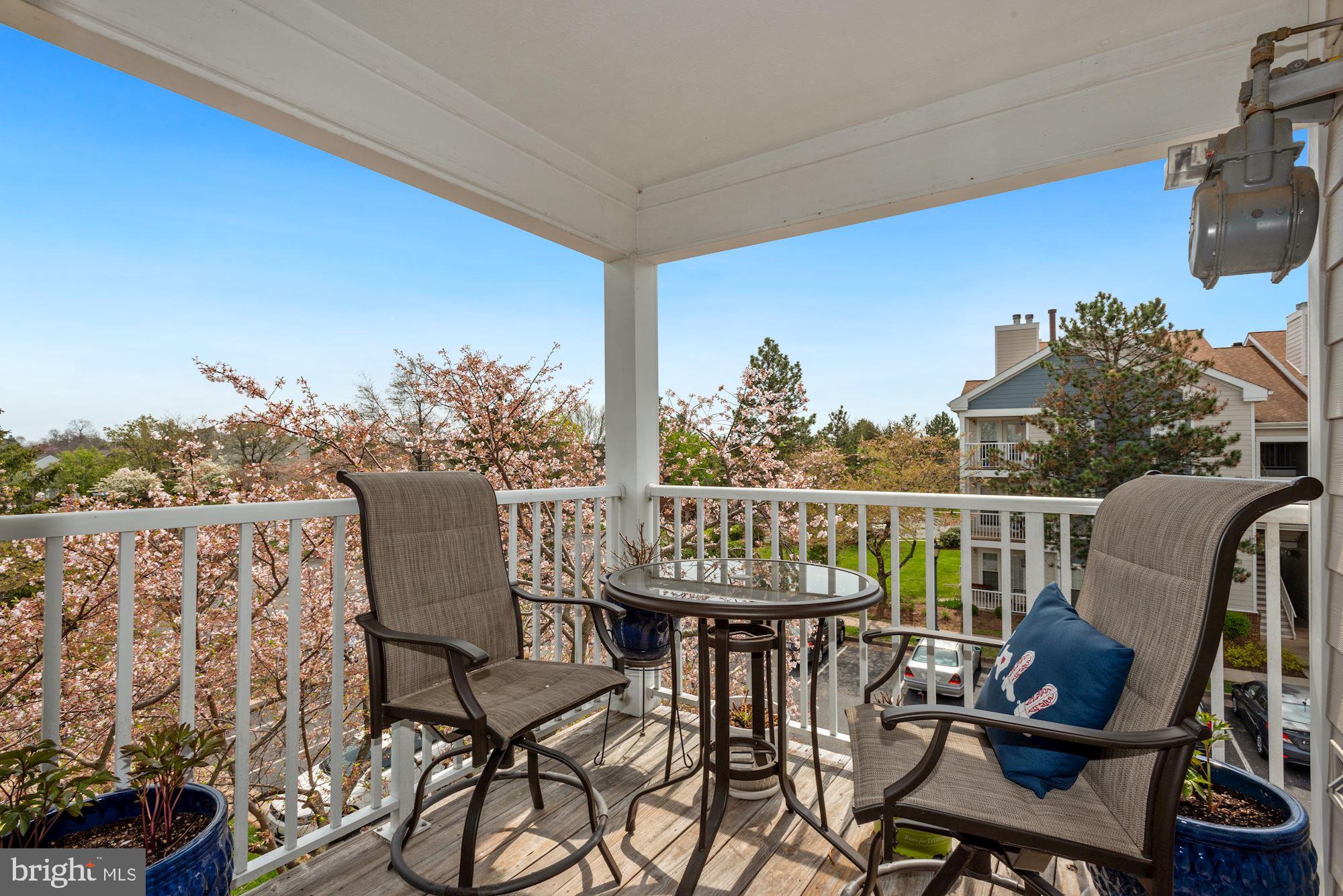 20965 Timber Ridge Terrace, Unit 303 Ashburn, VA 20147 - Photo 28 of 30 Gallery Image 28