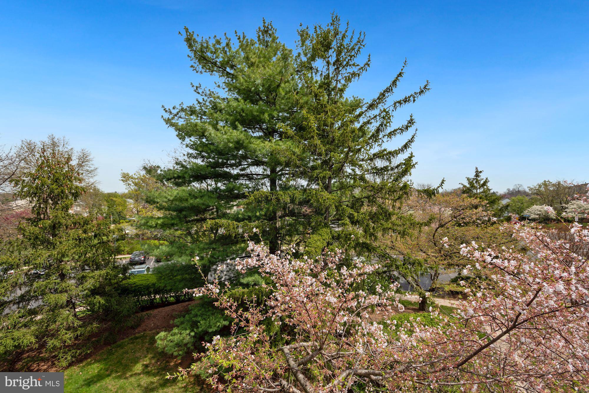20965 Timber Ridge Terrace, Unit 303 Ashburn, VA 20147 - Photo 29 of 30 Gallery Image 29