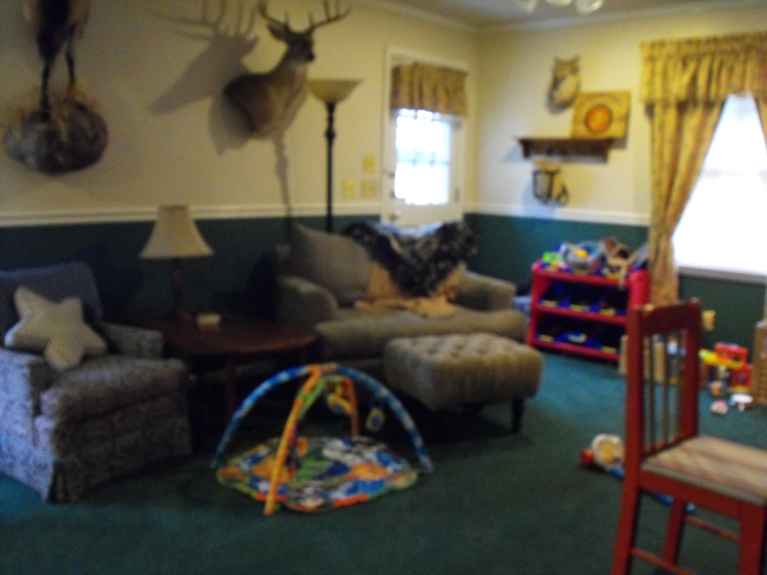 187 Chamblee Road Walterboro, SC 29488 - Photo 8 of 21 DSCF9210