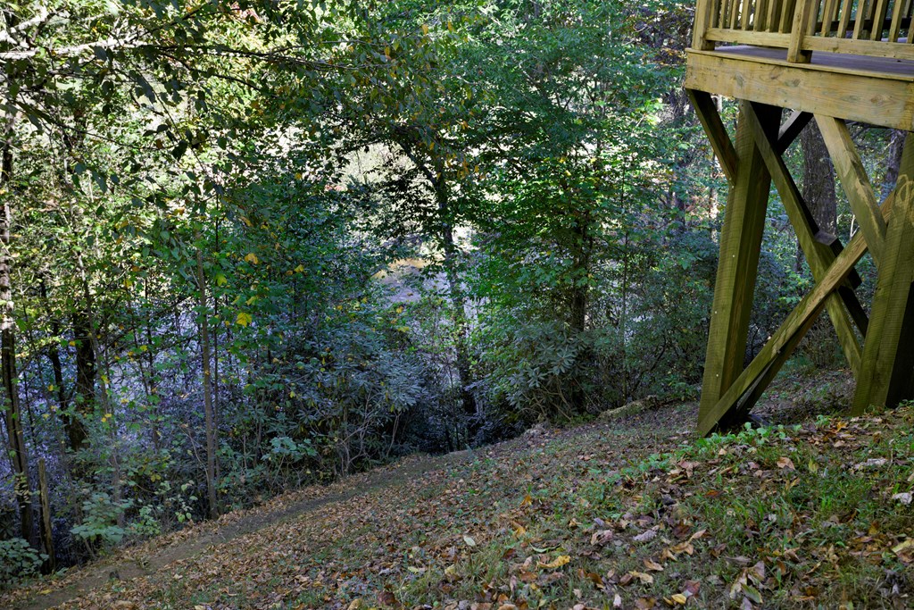 14 Rivendell Way Hayesville, NC 28904 - Photo 52 of 70