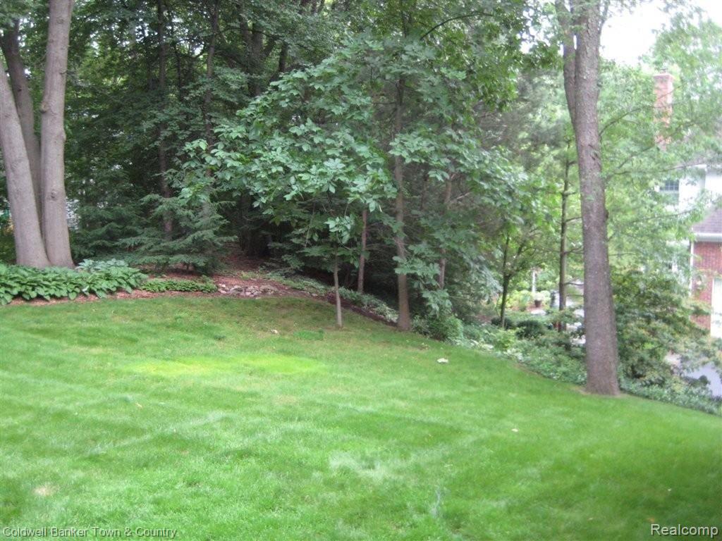 7562 Summit Ridge Brighton, MI 48116 - Photo 3 of 19 Private Backyard