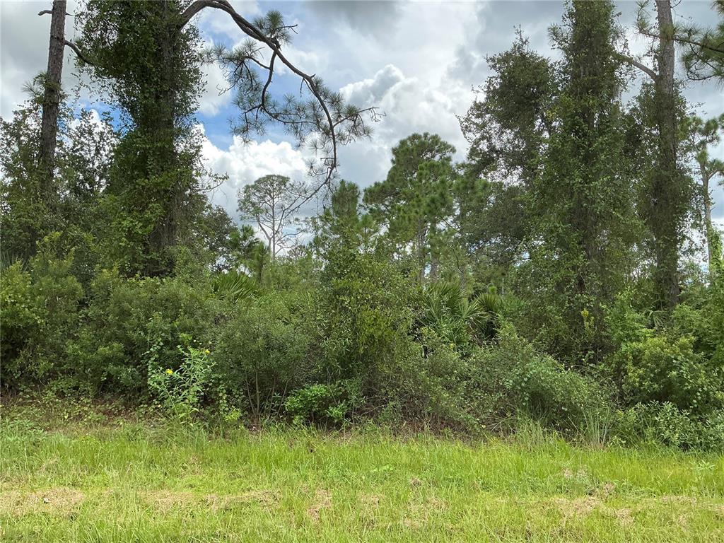 0 Burwin Avenue North Port, FL 34291 - Photo 1 of 1 a lush green forest with lots of trees