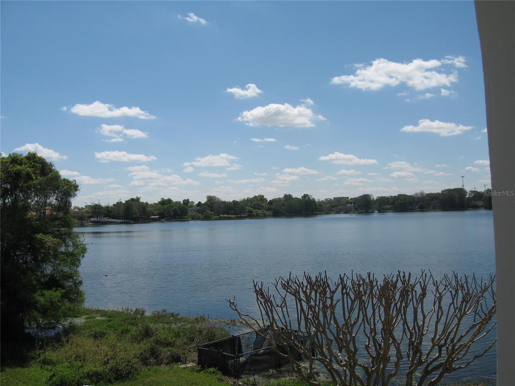 1500 Gay Road, Unit 18A Winter Park, FL 32789 - Photo 18 of 21 a view of a lake from a yard