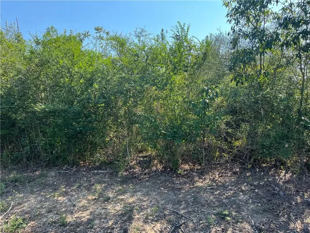 $150,000 | 0 Simmons Road, Kentwood, LA 70444