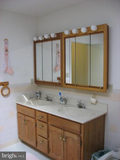 885 Crystal Rock Road Lusby, MD 20657 - Photo 7 of 18 a bathroom with a sink and a mirror
