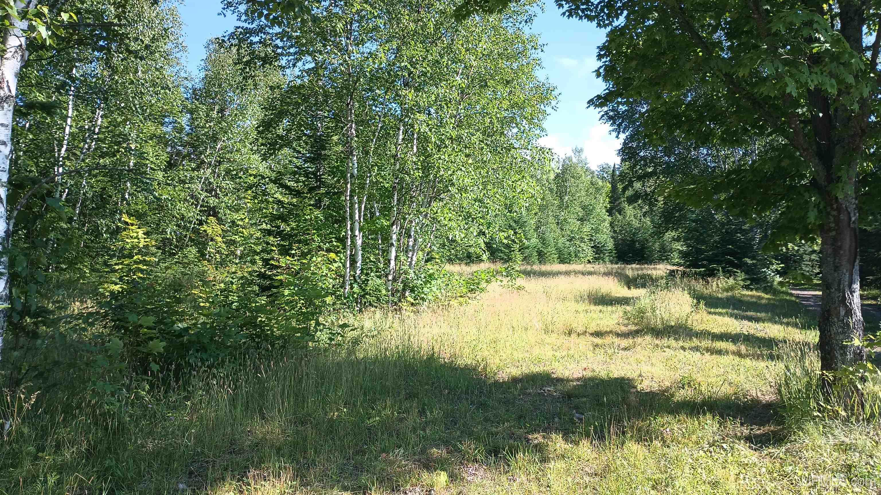 Lot 7 Chaney Coves Road Wakefield, MI 49968 - Photo 4 of 25 Gallery Image 4